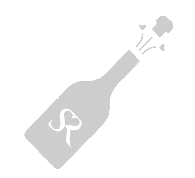 Sparkling Wine bottle icon